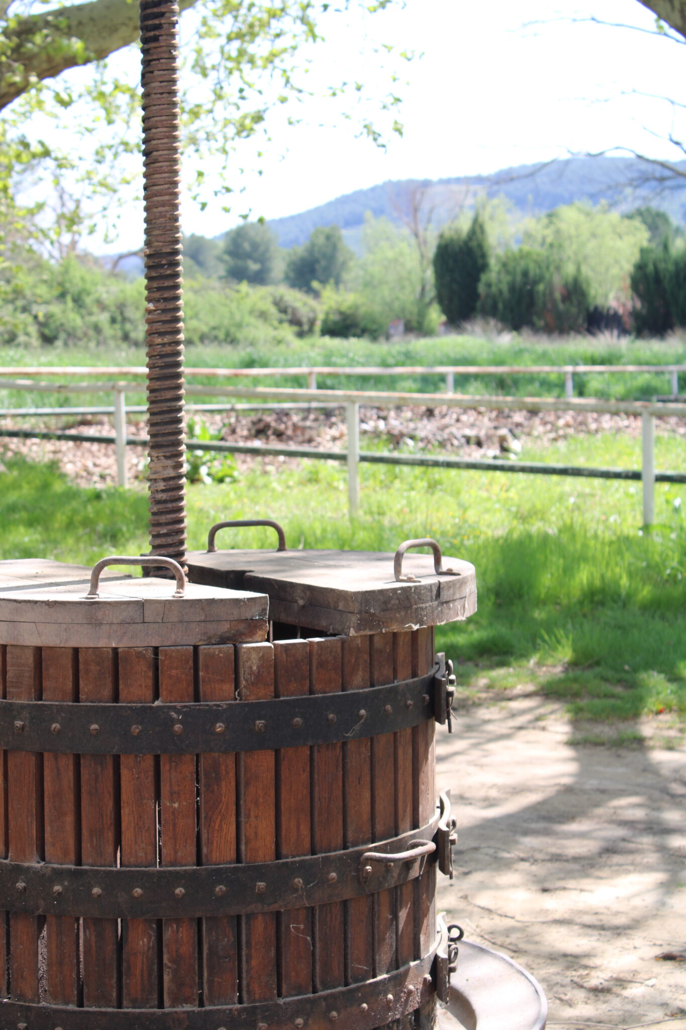 Pressoir de Provence Histoirique du Domaine La Miquelette situé au beausset dans le var